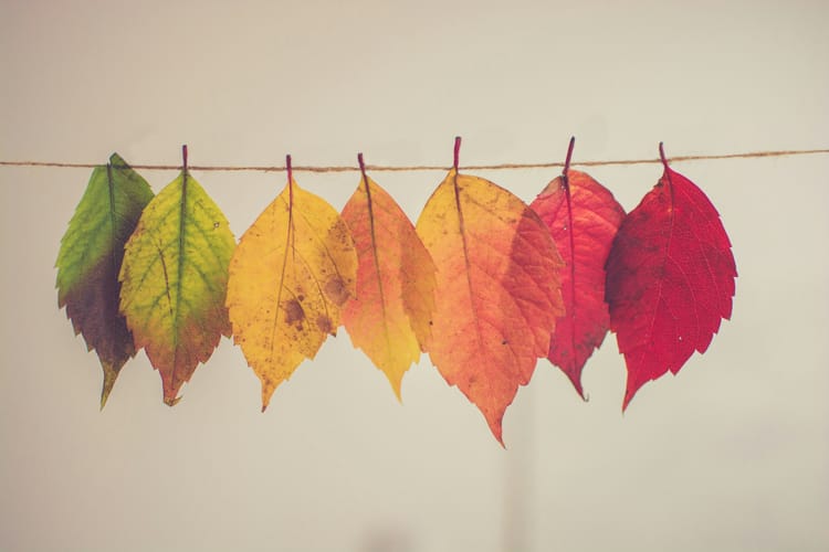 Embracing Change: Why It Matters & How to Do It